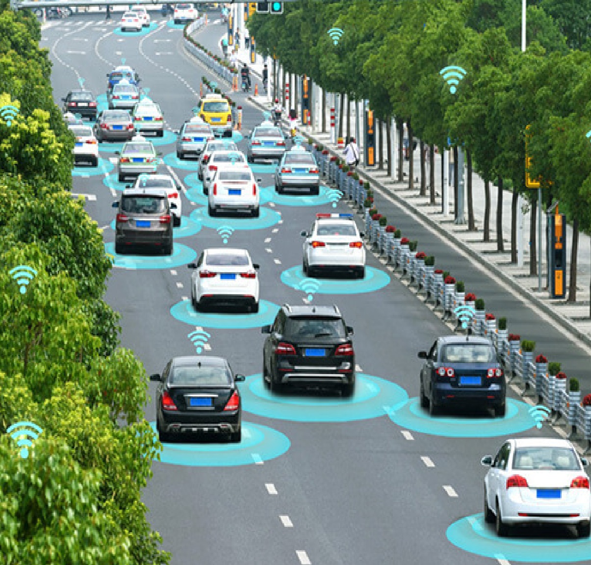 Transport & MaaS